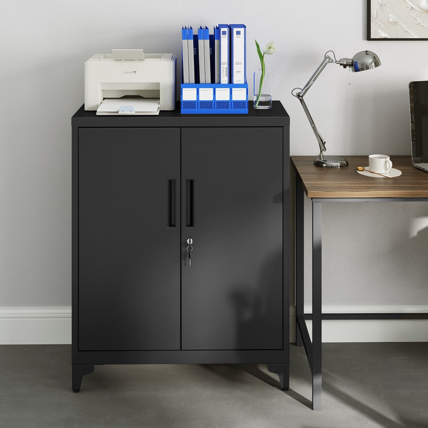 Archive cabinet - office cabinet with 2 doors, spacious storage cupboard