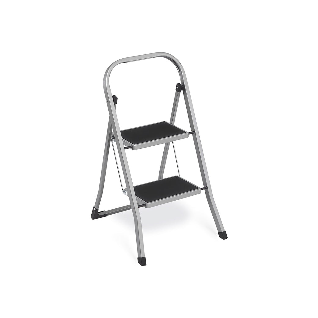 Ladder - With 2 steps