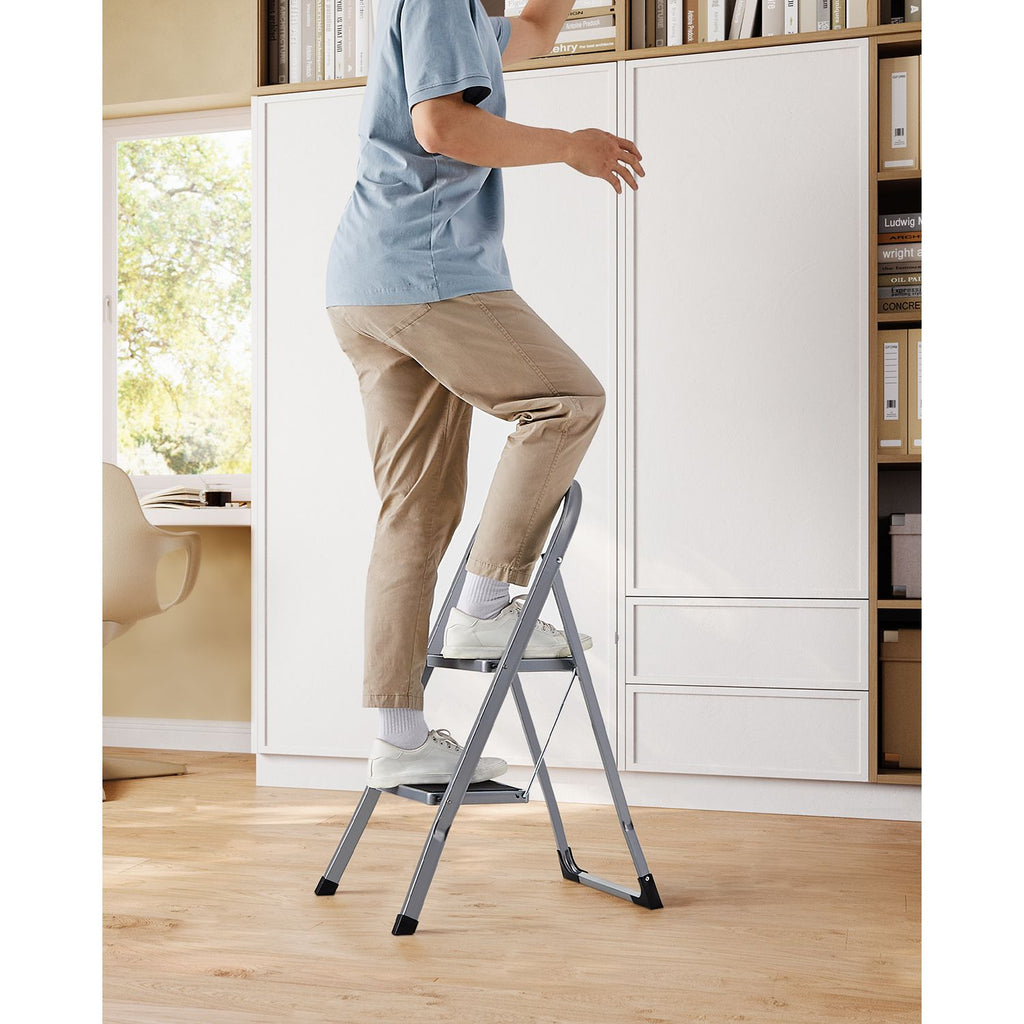Ladder - With 2 steps