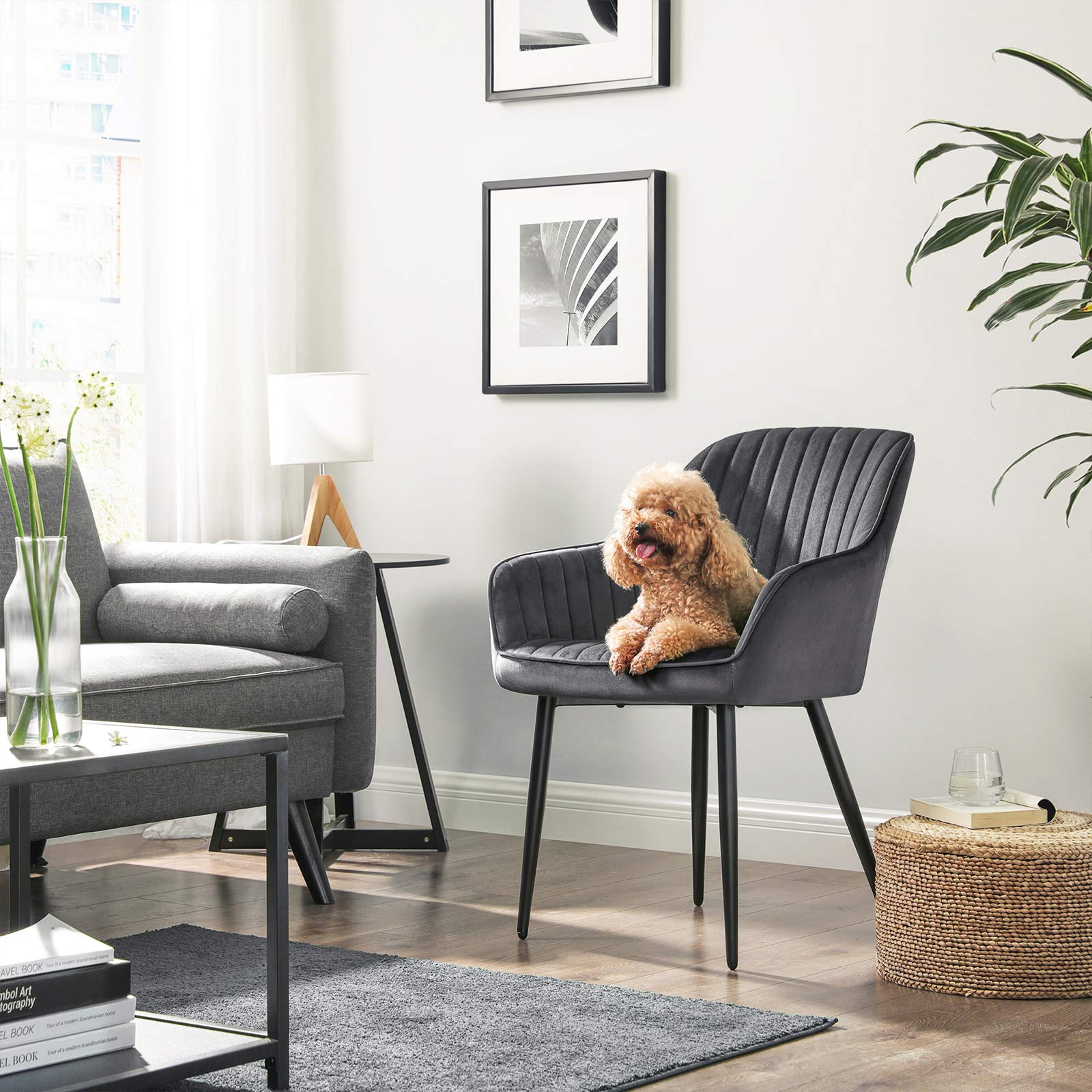 Dining room chair - Kitchen chair - Velvet seat - Metal legs - Dark gray