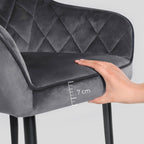 Dining room chair - Set of 2 - Chairs from Suede - Gray