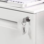 Container drawer unit - Mobile chest of drawers - Archive cabinet with 2 lockable drawers