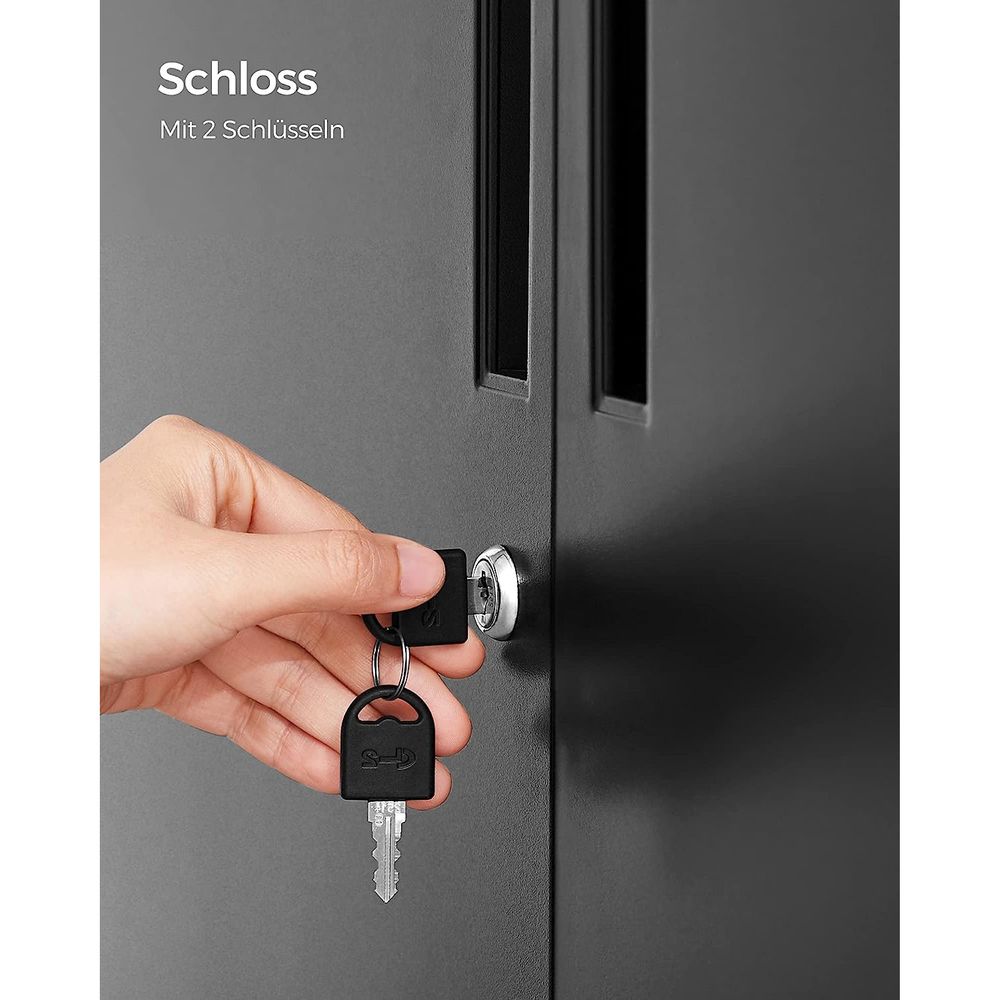 Archive cabinet - Tool cabinet - Van Staal - With 2 doors - With lock - Black