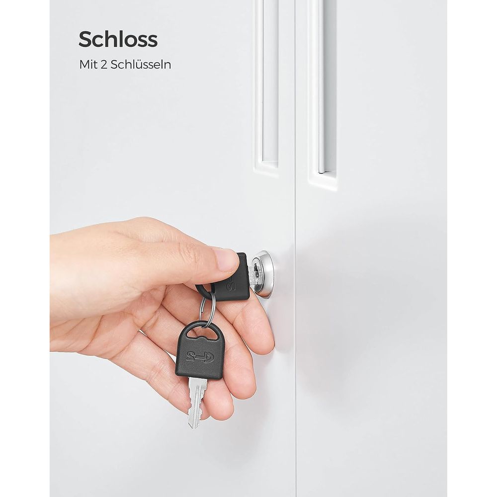 Archive cabinet - Tool cabinet - Van Staal - With 2 doors - With lock - White