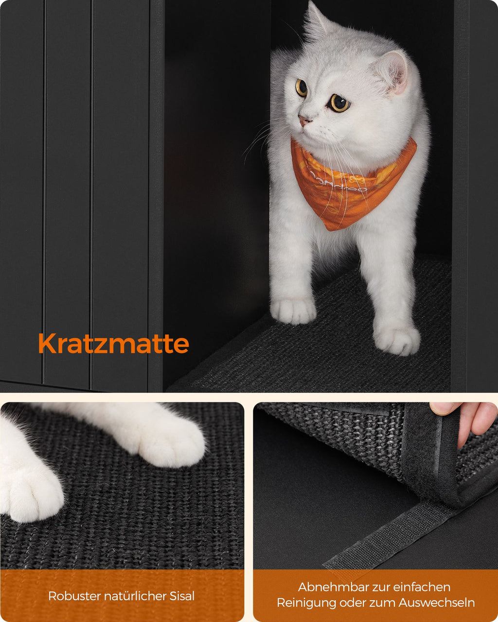Cat bakery with crab mat and golden legs