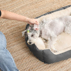 Dog bed - 65 x 55 x 20 cm - With reversible cushion - Gray