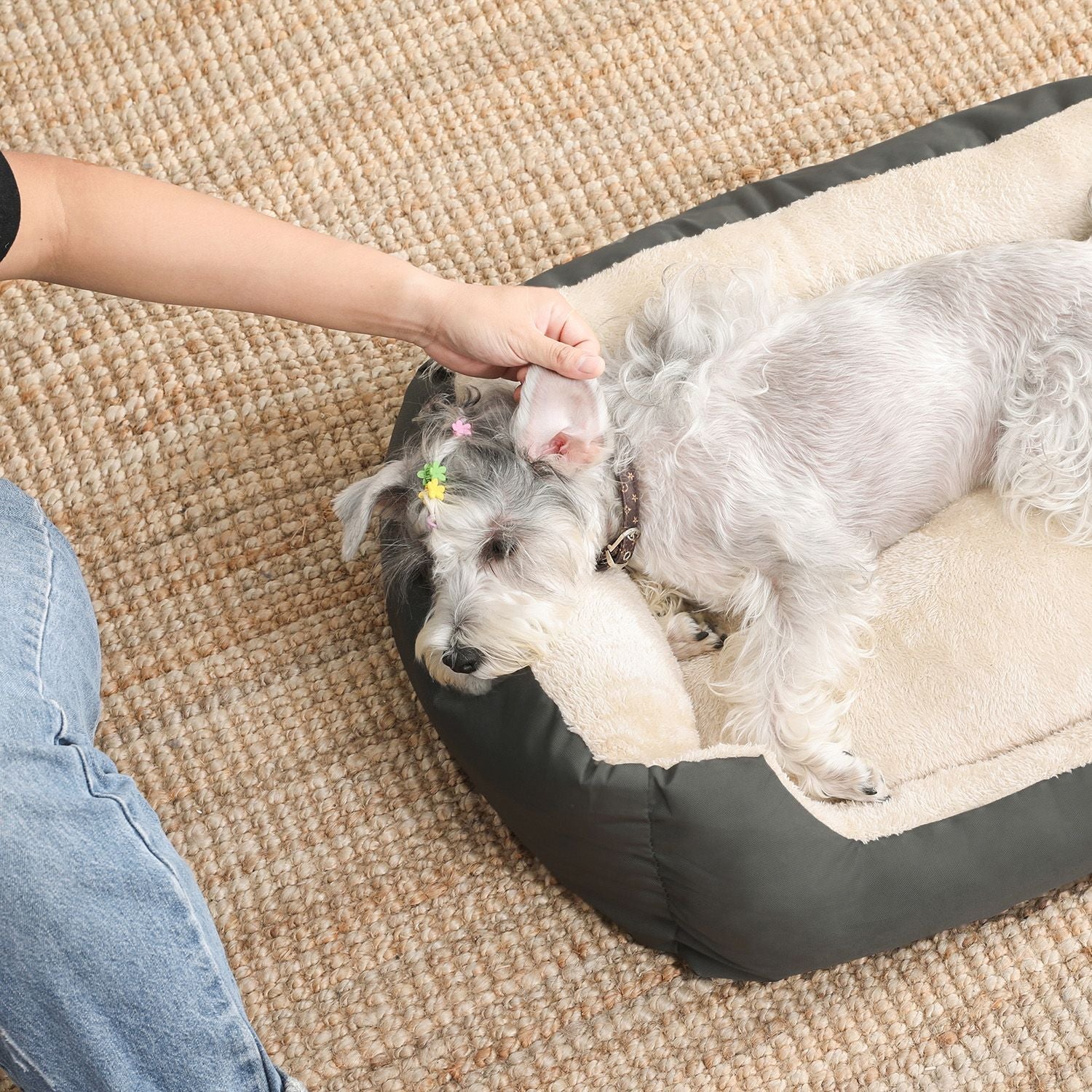 Dog bed - 80 x 65 x 20 cm - With reversible cushion - Gray