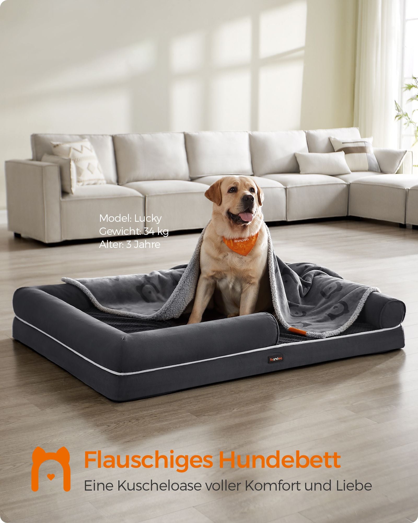 Orthopedic dog bed - Dog cushion with soft filling