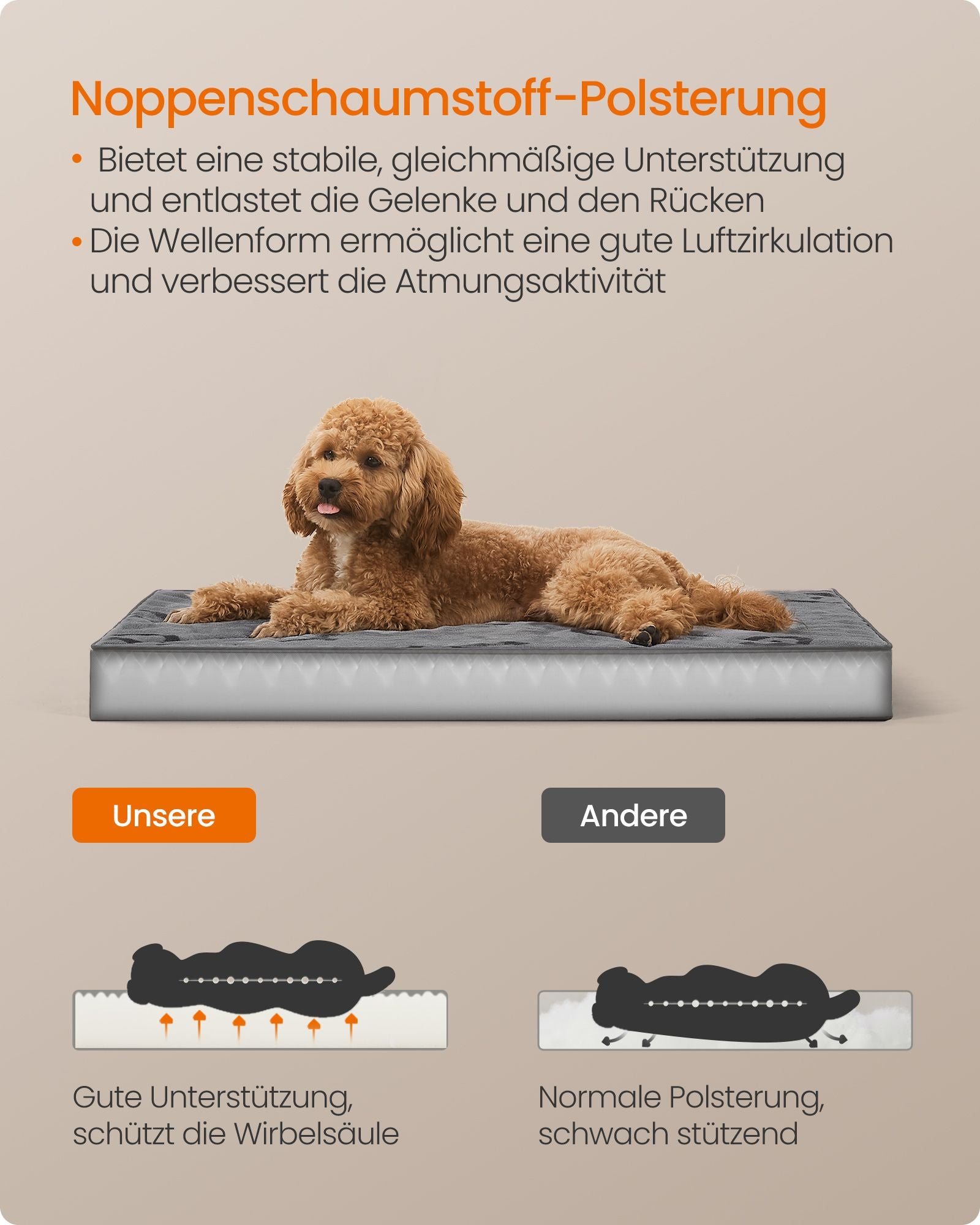 Orthopedisch Hondenbed 76 X 51 X 8 Cm Maat M