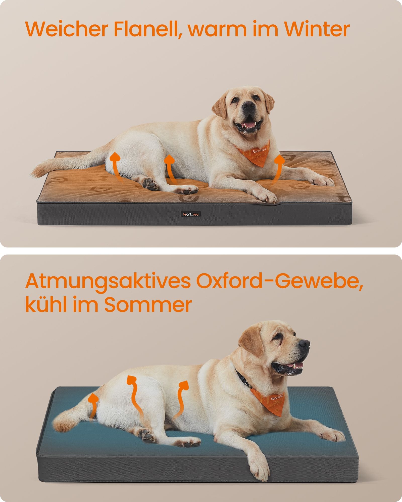 Orthopedic dog bed 120 x 74 x 10 cm Size XXL