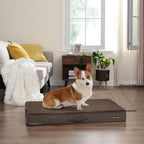 Orthopedic dog cushion - 80 x 60 x 10 cm - Brown