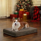 Orthopedic dog cushion - 80 x 60 x 10 cm - Brown