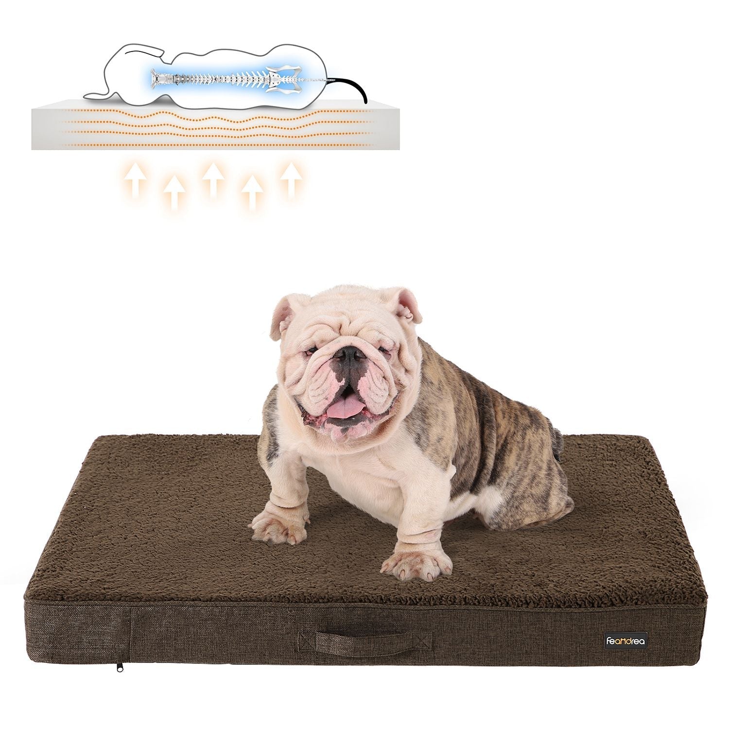 Orthopedic dog cushion - 100 x 70 x 10 cm - Brown