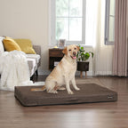 Orthopedic dog cushion - 120 x 80 x 10 cm - Brown