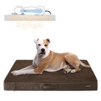 Orthopedic dog cushion - 120 x 80 x 10 cm - Brown