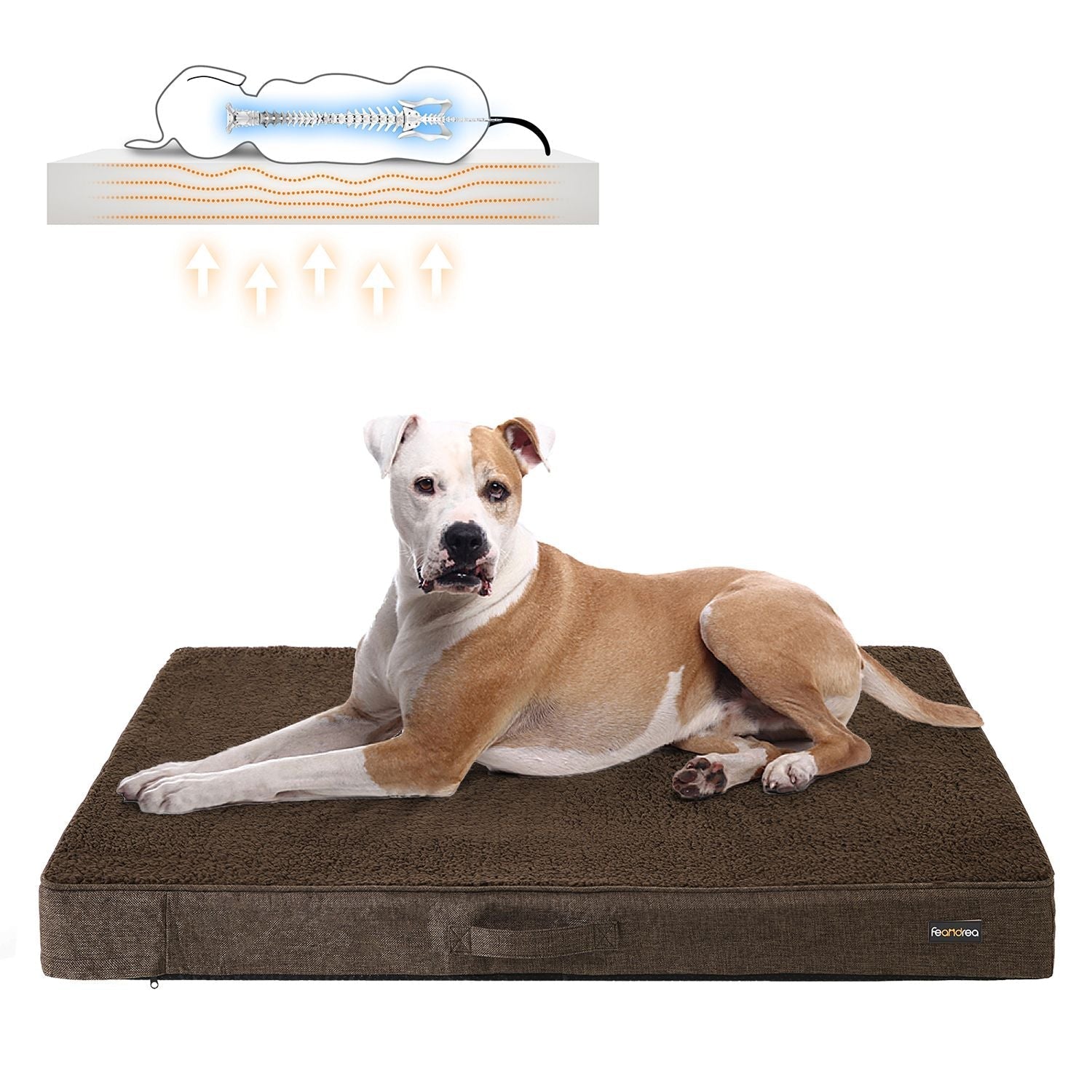 Orthopedic dog cushion - 120 x 80 x 10 cm - Brown