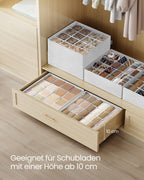 Underwear Organizer Set Of 4 With 80 Companies Cream White