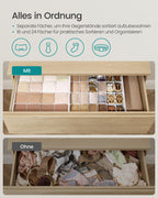Underwear Organizer Set Of 4 With 80 Companies Cream White